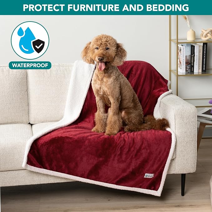 PetAmi Waterproof Dog Blanket for Couch, Large 60x40, Pee Proof Sherpa Fleece Reversible Pet Throw, Furniture Protector for Bed Sofa Kennel, Soft Washable Cover for Medium Dogs Cats, Wine Red