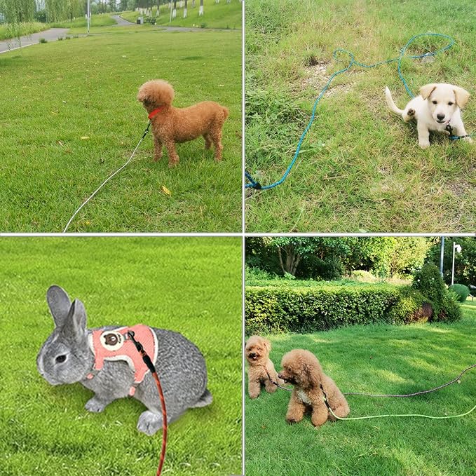 WYuZe Reflective X-Small Dog Leash 6ft Thin 1/5" Rope Cat Leash | Lightweight Sturdy for Puppy Training, Walking Lead for Chihuahua Maltese Small Pet Up to 15lb