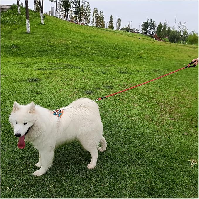 BTINESFUL 6FT Chewproof Dog Leash, Strong Nylon Rope with Anti-Chewing Chain and Padded Handle for Medium Large Dogs Outdoor Training Walking Hiking (red)
