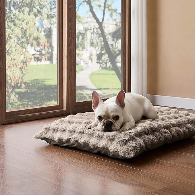 WDCOZY Fluffy Dog Crate Beds for Medium Dog, Plush Faux Fur Kennel Pad with Removal Washable Cover, Soft Pet Mat for Sleeping & Ease Anxiety, Anti-Slip Bottom for Pet Up to 40 lbs, 29"x21", Beige