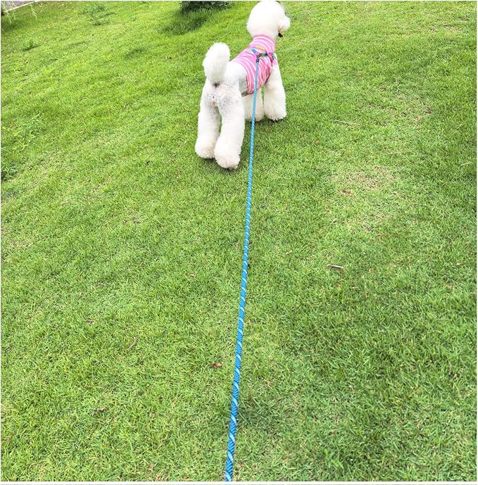 MayPaw Heavy Duty Rope Dog Leash, 3/6/8/10/12/15/20/30 FT Long Dog Lead Nylon Pet Leash, Soft Padded Handle Thick Lead Training Leashes for Large Medium Dogs (15ft * 1/2", Blue Black)