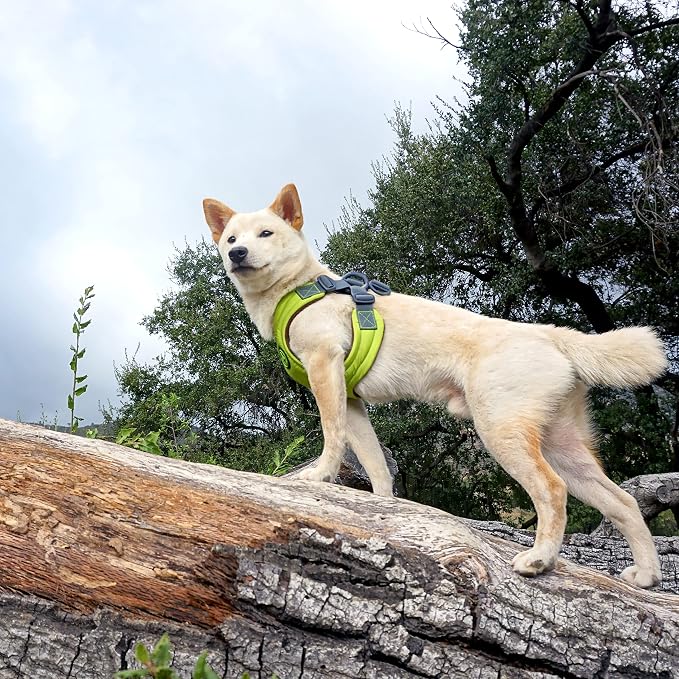 Gooby, Medium Green Memory Foam Escape Free Harness with 4-Point Adjustment for Small Dogs