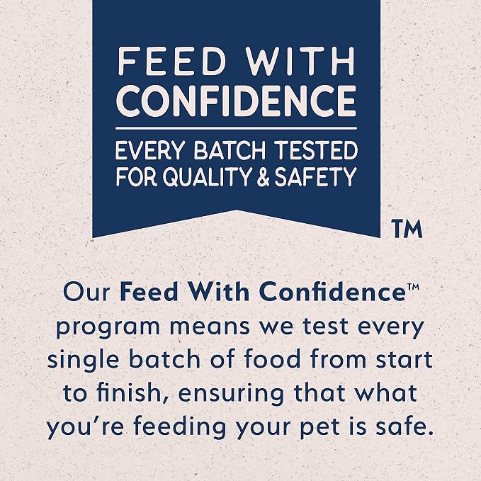 Natural Balance Limited Ingredient Mini-Rewards Salmon Grain-Free Dog Training Treats for Dogs | 5.3 Ounce Canister