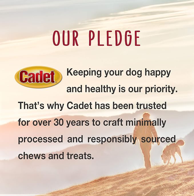 Cadet Stuffed Shin Bone, Long-Lasting Dog Chew Bones for Aggressive Chewers, High-Protein Filled Bone Dental Chew for-Dogs, Bacon & Cheese Flavor Filling, 5-6" for Large Dogs (Pack of 2)