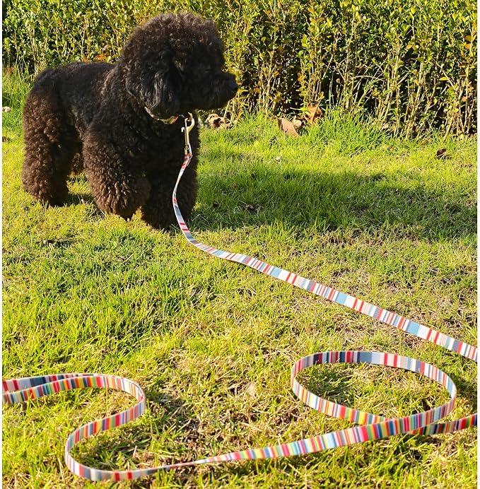 WYuZe 7FT 12FT Waterproof Dog Leash, Odor-Proof Strong Coated Nylon Leash - Lightweight & Easy to Clean for Small Medium Dogs Outside Walking, Training, Beach Playing (7ft, Rainbow)