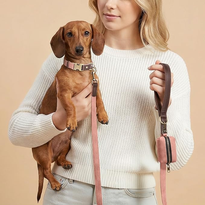 Didog Soft PU Leather Dog Collars for Small Dogs,Classic Adjustable Dog Collars with Quick Release Metal Buckle,Easy Clean and Comfortable with Nylon Lining,Pink,S Neck 11-15"