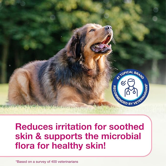 Douxo S3 Calm Dog Shampoo for Itchy Skin Relief, Dog Shampoo for Allergies and Itching, Soothes Itchy, Irritated or Allergic Skin For Dogs and Cats, 6.7 fl oz