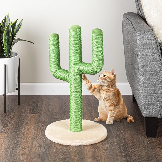 24” Tall Cat Scratching Post - Vertical Cactus Scratch Post for Indoor Cats - 360 Degree Jute Rope-Covered Kitten Scratcher with 3 Branches and Sturdy Base by PETMAKER (Green)