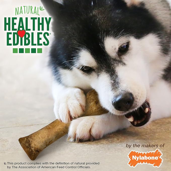 Nylabone Healthy Edibles Natural Dog Chews Long Lasting Bacon Flavor Treats for Dogs, X-Large/Souper, 1 Count (Pack of 2)