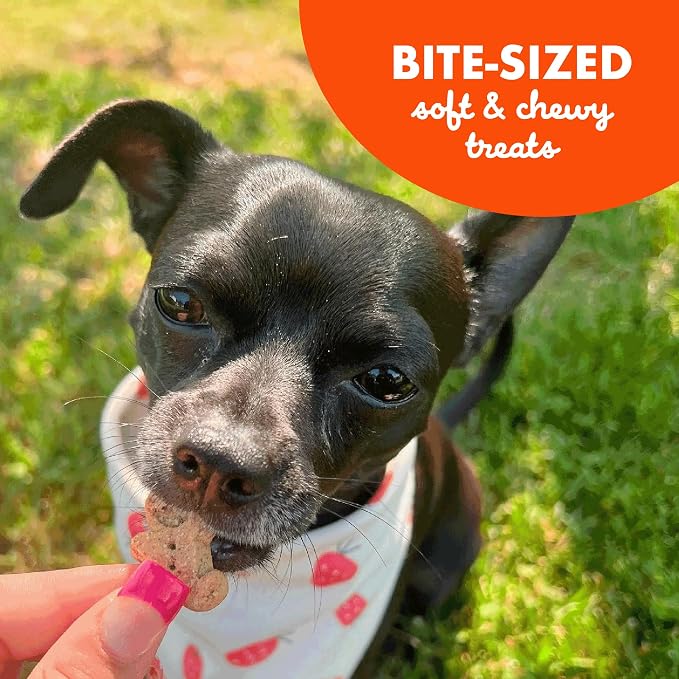 Buddy Softies Soft & Chewy Dog Treats Peanut Butter 20 oz. Jar