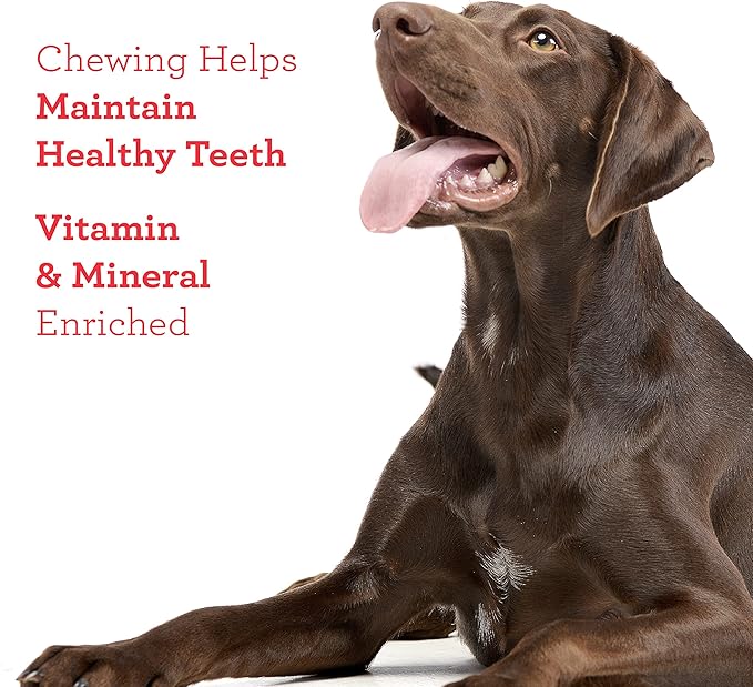 DreamBone Chicken Wrapped Twist Stick Dog Treats, Daily Rawhide-Free Chew, Digests Safely and Completely, With Real Protein, Chicken and Veggies, 50 count