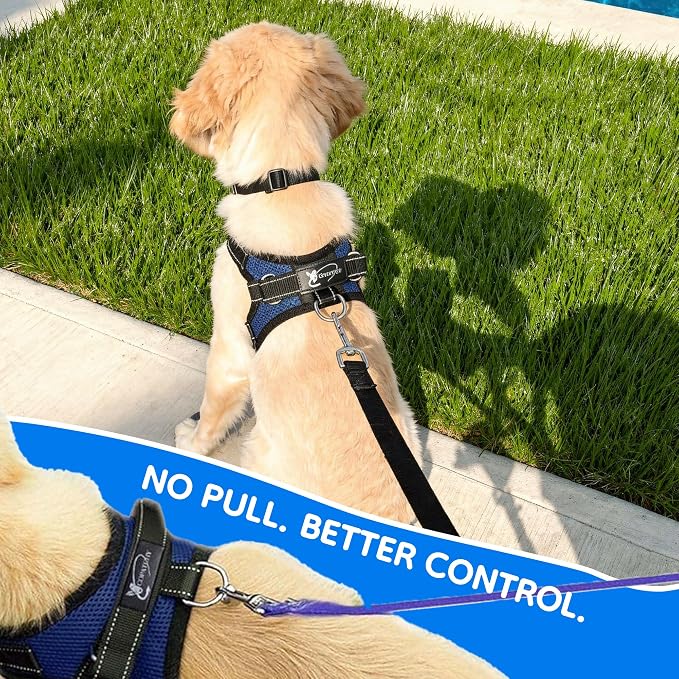 No Pull Reflective Adjustable Dog Harness With Handle- Comfortable Soft All Weather Mesh, Easy On Puppy Harness For Small Medium and Large Dogs (Blue) Small