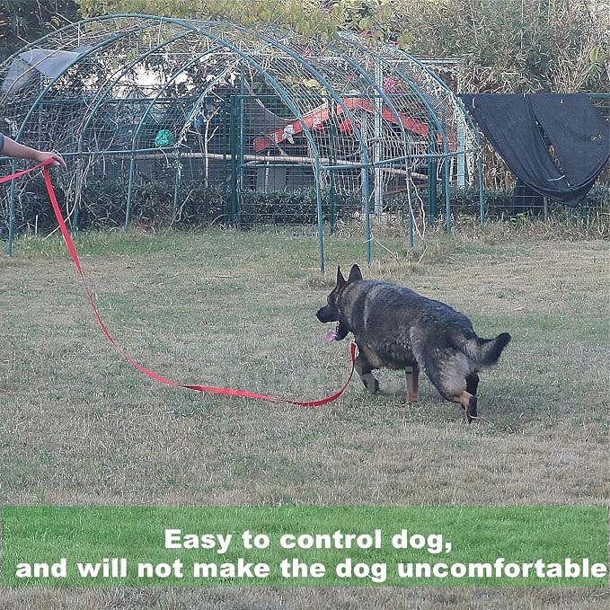 Strong Durable 6 ft Nylon Dog Training Leash, 1 Inch Wide Traction Rope, for Small and Medium Dog (Military Green, 6 Feet)