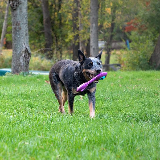 Chew King Premium Treat Dog Toy, Durable Natural Rubber Collection, Fetch and Tug Dog Toy, Dog Treat Toys for Boredum