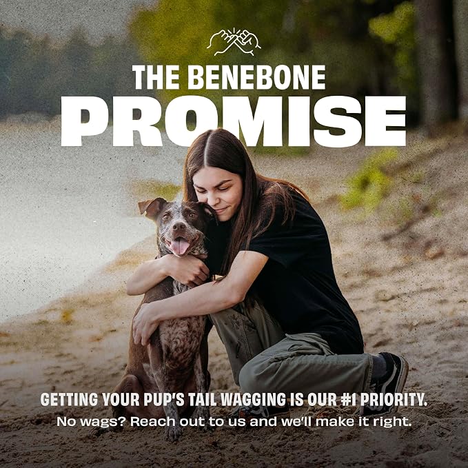 Benebone Durable Rubber Dog Toy Ball, USA 250th Anniversary Limited Edition America 250, One Size