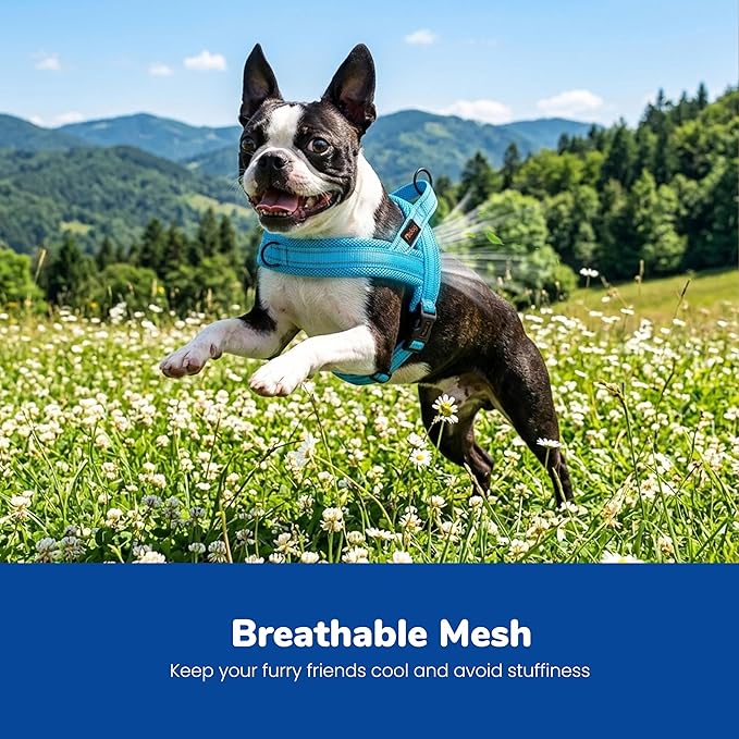 Didog No Pull Dog Harness with Breathable Mesh Padded,Reflective & Quick Fit Light Weight Dog Strap Vest Harness,Easy for Walking Training (XS:Chest 15-18", Mesh-Blue)