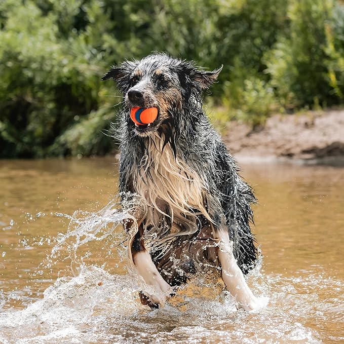 Chuckit! Ultra Ball Dog Toys - Size Large - for Dogs 60-100 lbs - Made from Durable Rubber - Super Bouncy - Day & Night Bundle - Floats in Water - 3-inch Diameter - Pack of 2