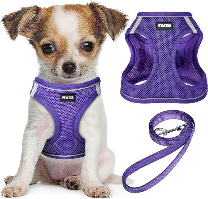 YIMEIS Dog Harness and Leash Set, No Pull Soft Mesh Pet Harness, Reflective Adjustable Puppy Vest for Small Medium Large Dogs, Cats (Purple, X-Small (Pack of 1)