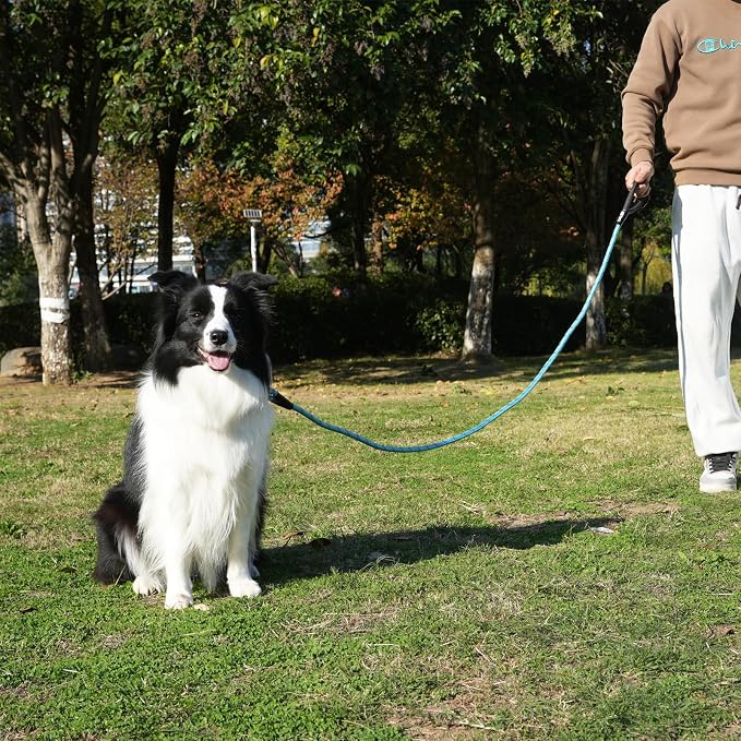 ZALER Rope Dog Leash, 4/5/6/10/15/20/30/50 Foot Reflective Dog Leashes with Carabiner, Heavy Duty Pet Lead for Large and Medium Dogs (5FT, Orange)