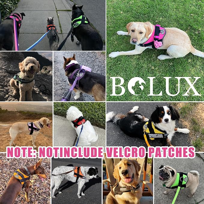 Dog Harness, No-Pull Reflective Dog Vest, Breathable Adjustable Pet Harness with Handle for Outdoor Walking - No More Pulling, Tugging or Choking (Fuchsia, X-Small (Pack of 1))