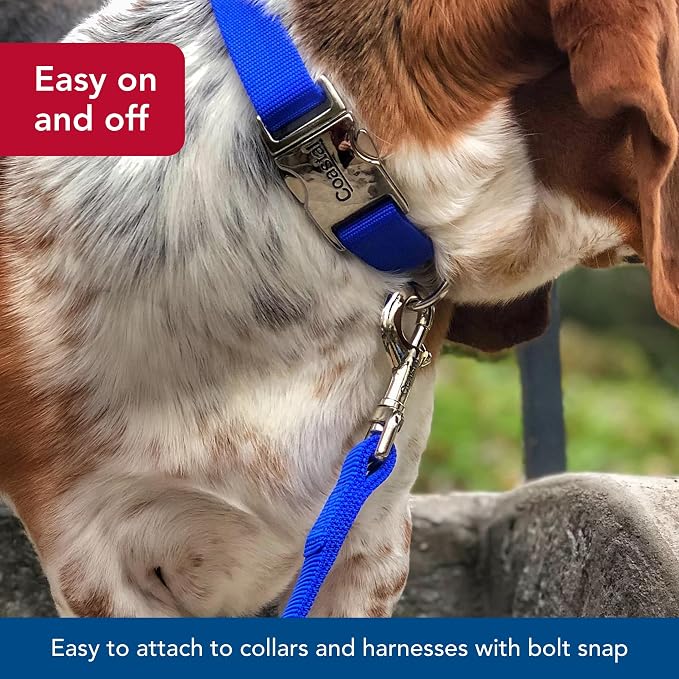 Coastal Pet Double-Ply Dog Leash - Bolt Snap Attachment to Collars and Harnesses - Nylon Dog Walking Leash for Small, Medium and Large Dogs - Pink Flamingo - 1" x 6'