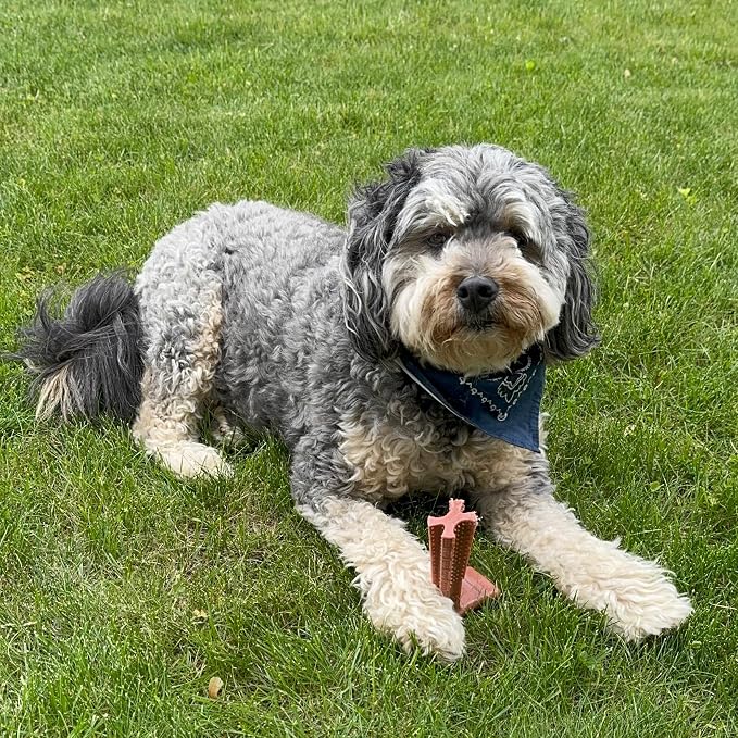 SPOT Bam-Bones Plus T Bone – Bamboo Fiber & Nylon Dog Chew Toy for Moderate to Aggressive Chewers, Durable Long Lasting & Non-Splintering, Beef Flavor Toy for Adult Dogs & Puppies Under 60 lbs, 6 in