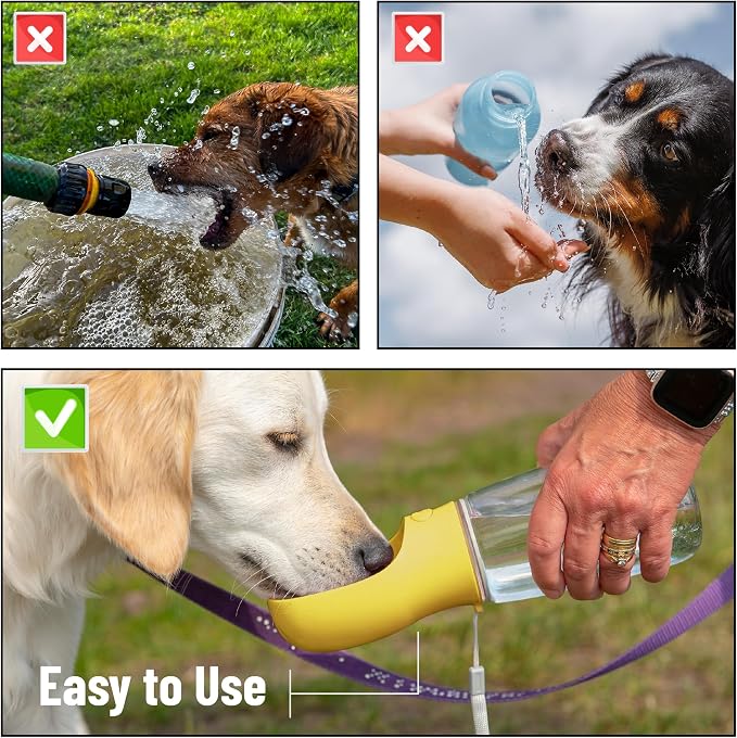 Mr. Pen- Portable Dog Water Bottle, 19 oz, Large, Leak Proof Puppy Water Dispenser with Drinking Feeder for Pets, Outdoor Walking, Hiking, Travel, Not Dishwasher Safe