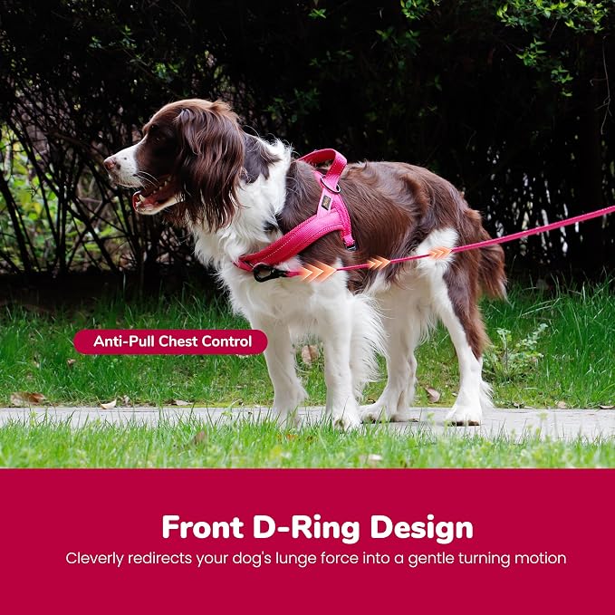 Didog No Pull Dog Harness with Breathable Mesh Padded,Reflective & Quick Fit Light Weight Dog Strap Vest Harness,Easy for Walking Training (XS:Chest 15-18", Mesh-Hot Pink)