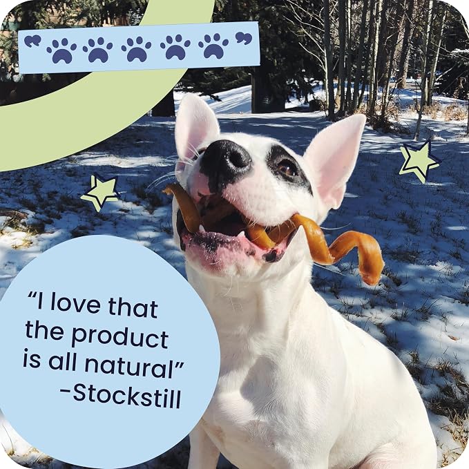 Pawstruck Natural 5-8" Bully Sticks for Dogs - Best Long-Lasting, Rawhide-Free, Low Odor Dental Chew Treat - Healthy Single Ingredient, 100% Real Beef - 8 oz Bag - Packaging May Vary