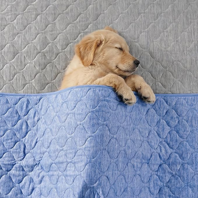 Cozy Bliss Deluxe Leakproof Cooling Blanket for Large Dogs Q-Max 0.5, Soft & Durable Washable Pet Cooling Mat for Hot Weather, Livingroom, Couch & Bed Protector for Cats, Haze Blue, 60"x80"