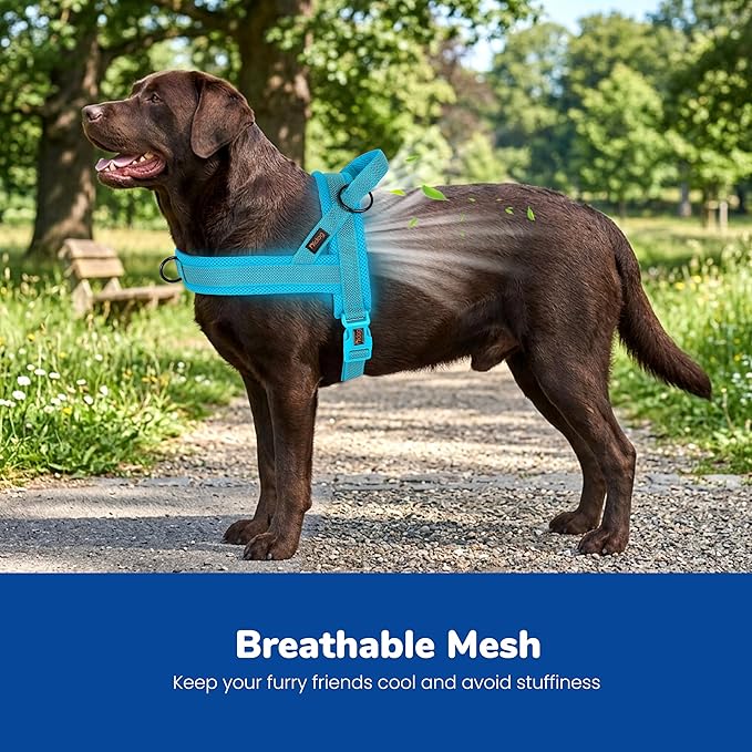 Didog No Pull Dog Harness with Breathable Mesh Padded, Full Reflective & Quick Fit Adjustable Vest Harness, Easy for Training Walking for Small & Medium and Large Dogs (Blue, L:Chest 26-32")
