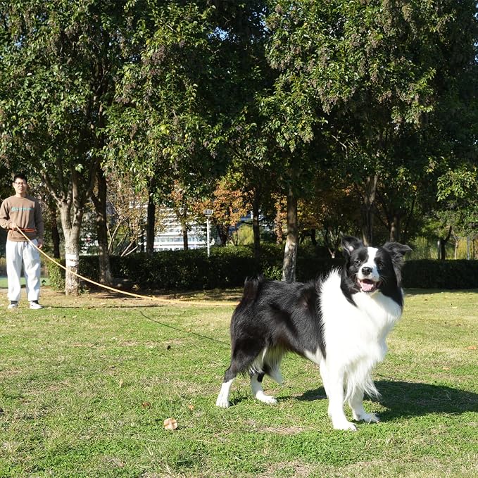 ZALER Long Dog Leash, 50 feet 30ft 20ft 15ft 10ft Dog Training Lead, Heavy Duty Check Cord Recall Leash for Dogs Training, Playing, Camping, or Backyard (15FT, Blue Pink)