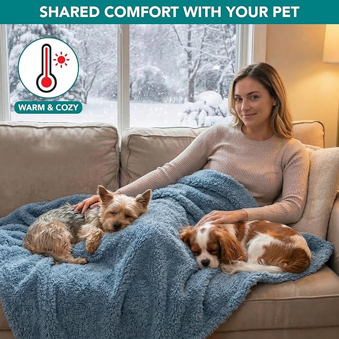 PetAmi Fluffy Waterproof Dog Blanket for Couch and Bed, Reversible Sherpa Pet Throw, Pee Proof Furniture Protector Sofa Cover, Washable Cat Blanket for Small Medium Dogs and Cats (Dusty Blue, 29x40)