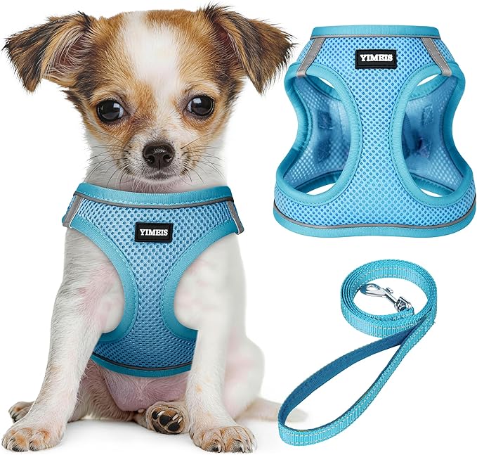 YIMEIS Dog Harness and Leash Set, No Pull Soft Mesh Pet Harness, Reflective Adjustable Puppy Vest for Small Medium Large Dogs, Cats (Sky Blue, Small (Pack of 1)