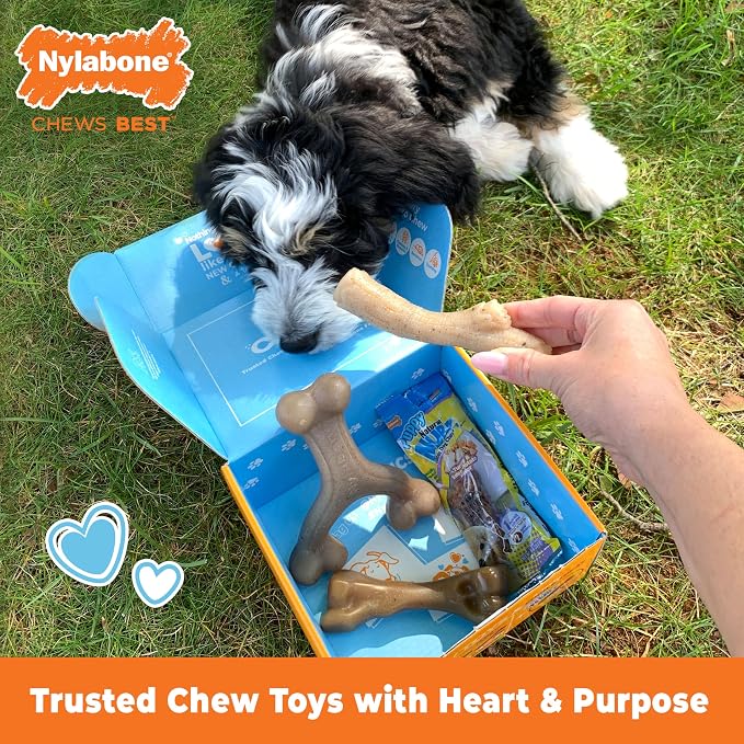 Nylabone Puppy Gift Box, Includes 3 Strong Puppy Chew Toys and 1 Natural Treat Bone for Puppies, Gifts for Puppies, Small Dogs - Up to 25 lbs., 4 Pack