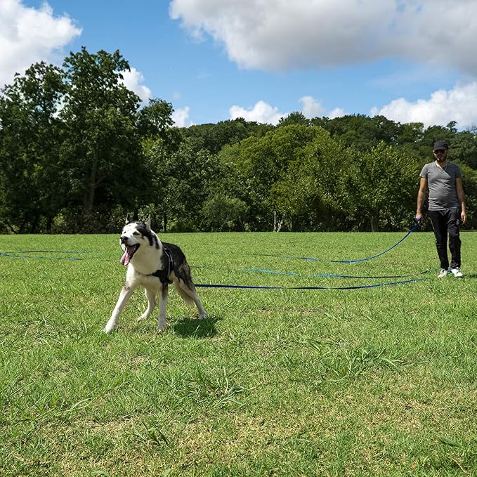 Hi Kiss Dog/Puppy Obedience Recall Training Agility Lead - 15ft 20ft 30ft 50ft 100ft Training Leash - Great for Training, Play, Camping, or Backyard - Pink 15ft