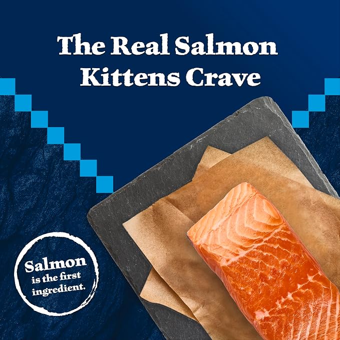 Blue Buffalo Wilderness High-Protein & Grain-Free Dry Food for Kittens, Natural Ingredients with DHA for Cognitive Development, Salmon Recipe, 5lb Bag