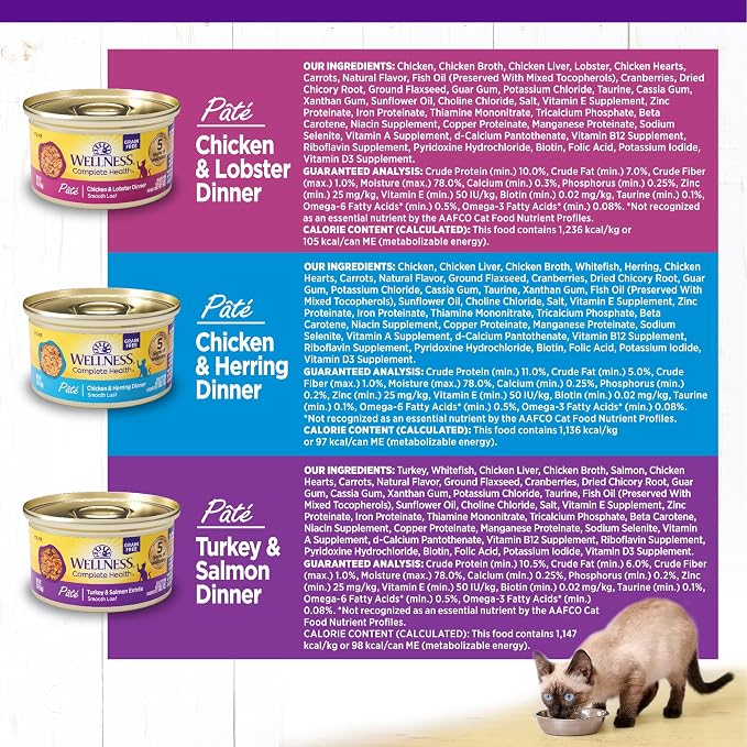 Wellness Complete Health Pate Variety Pack Adult Canned Wet Cat Food, Natural, Protein Rich, Grain Free, Seafood Favorites, 3 oz, Pack of 12 Cans