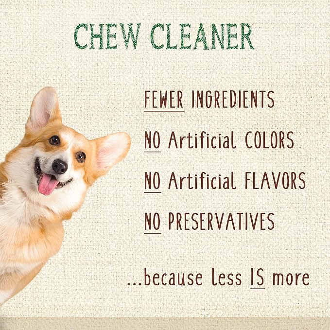 Nylabone Nutri Dent Dog Dental Chews - Natural Dog Teeth Cleaning & Breath Freshener - Dental Treats for Dogs - Fresh Breath Flavor, Small (28 Count)
