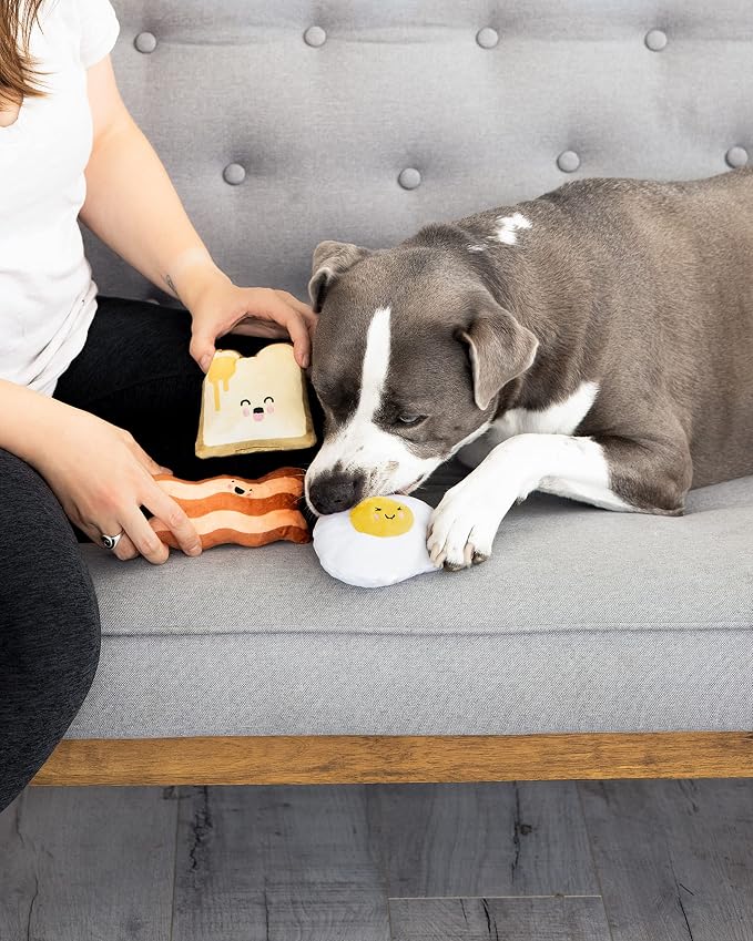 Pearhead Breakfast Dog Toy Set – 3-Piece Bunch Food Theme (Egg, Toast & Bacon) with Squeaker & Crinkle Paper – Interactive Pet Toy for Puppies & Dogs, Stocking Stuffer Ideas