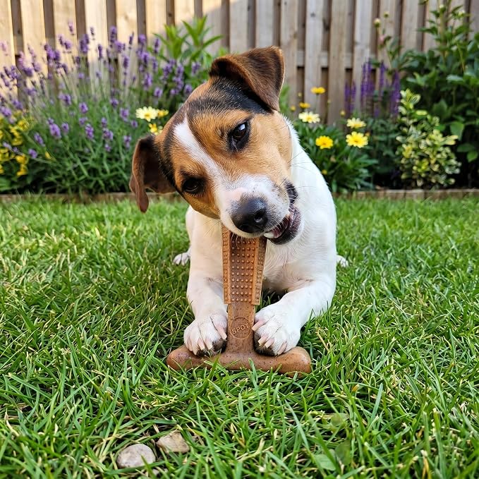 SPOT Bam-Bones Plus T Bone – Bamboo Fiber & Nylon Dog Chew Toy for Moderate to Aggressive Chewers, Durable & Non-Splintering, Long Lasting Beef Flavor Toy for Dogs & Puppies Under 30 lbs, 4 in