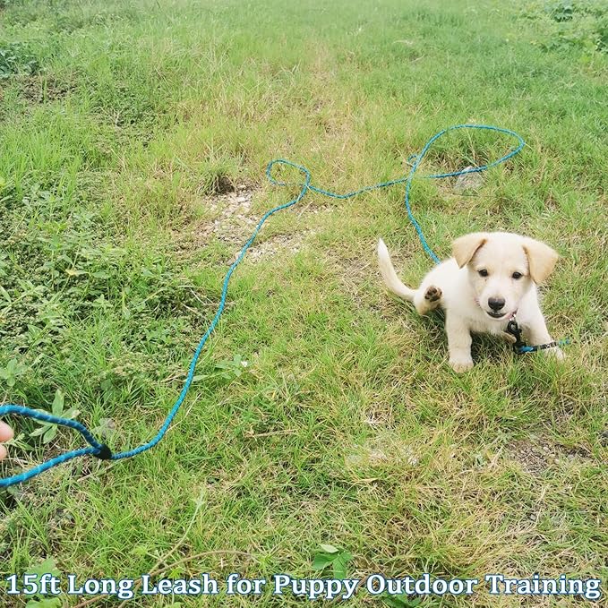 WYuZe Reflective X-Small Dog Leash 6/10/15 FT, Thin 1/5" Lightweight Rope Leash for Puppy Training, Walking Leads for Cats Chihuahua Maltese Small Pets Up to 15lb, (15ft, Blue)