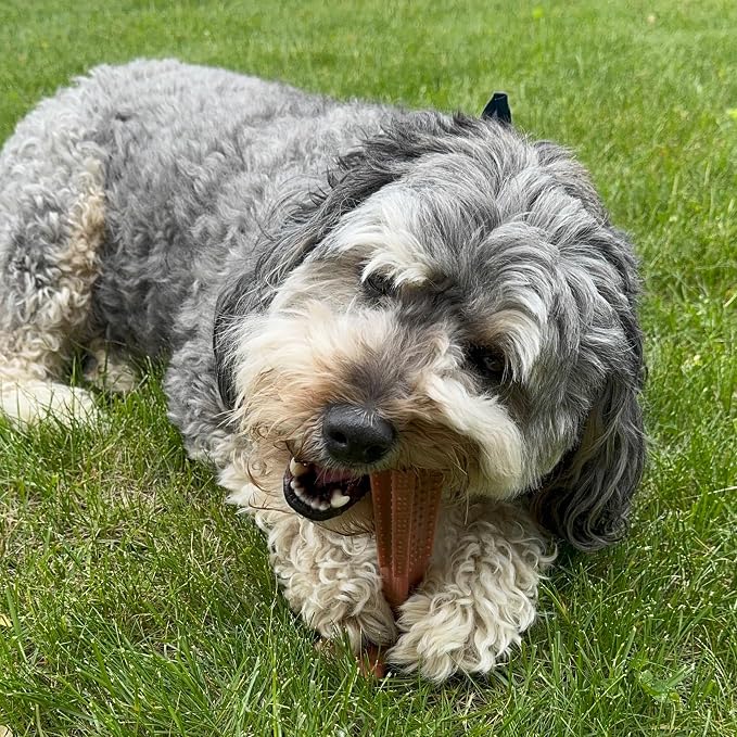 SPOT Bam-Bones Plus T Bone – Bamboo Fiber & Nylon Dog Chew Toy for Moderate to Aggressive Chewers, Durable Long Lasting & Non-Splintering, Beef Flavor Toy for Adult Dogs & Puppies Under 60 lbs, 6 in