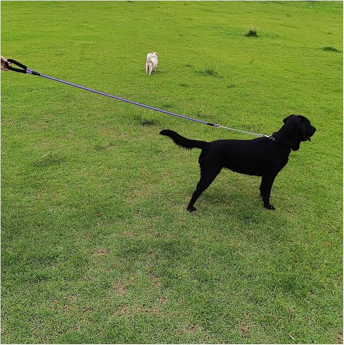 BTINESFUL 6FT Chewproof Dog Leash, Strong Nylon Rope with Anti-Chewing Chain and Padded Handle for Medium Large Dogs Outdoor Training Walking Hiking (Purple)