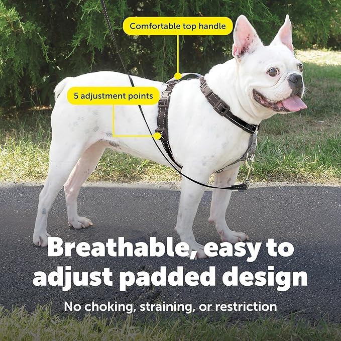 PetSafe 3 in 1 No-Pull Dog Harness for Small Dogs- Walk, Train or Travel - Helps Pets from Pulling on Walks - Seatbelt Loop Doubles as Quick Access Handle - Reflective - Small, Black