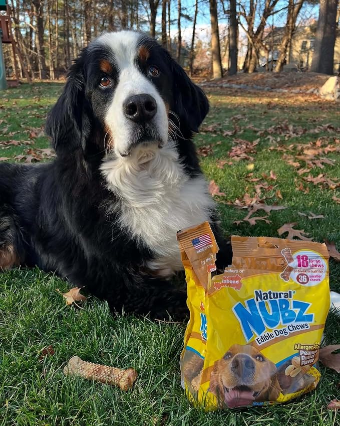 Nylabone Nubz Natural Dog Chew Treats for Large Dogs, Long Lasting Dog Chew Bones Made in the USA, Chicken Flavor Breath Freshener Dental Chews, Large Dog Bones for Dogs Over 30 lbs. (18 Count)