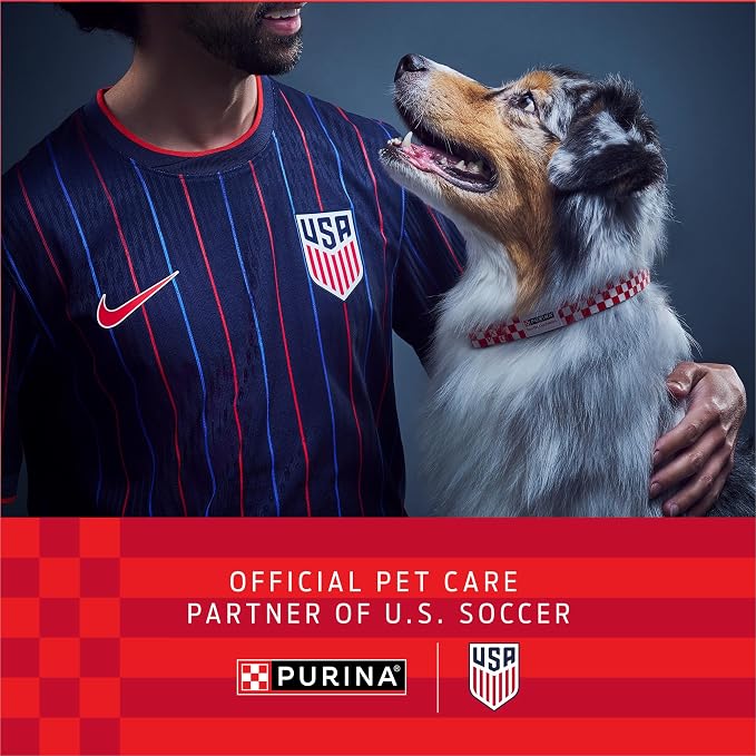 Purina ONE Chicken and Rice Formula Dry Dog Food - 40 lb. Bag