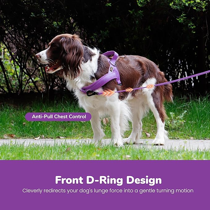 Didog No Pull Dog Harness with Breathable Mesh Padded,Reflective & Quick Fit Light Weight Dog Strap Vest Harness,Easy for Walking Training (M:Chest 21-26", Purple)