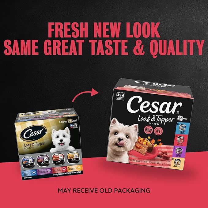 Cesar Loaf in Sauce Wet Dog Food Rotisserie Chicken, Filet Mignon, Angus Beef, and Ham & Egg Flavors Variety Pack, 3.5 oz. Easy Peel Trays (24 Count, Pack of 1)