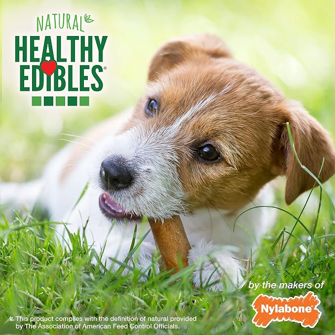 Nylabone Healthy Edibles Natural Dog Chews, Long Lasting Bones for Dogs, Roast Beef Flavor Dog Treats, Small (3 Count) (Pack of 2)